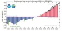 NOAA global ocean heat 1955-2023